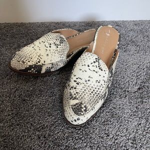 Madden Girl Snakeskin Mattie Mule